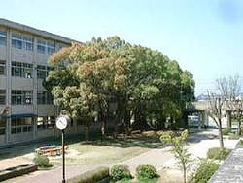 画像17:加古川市立神野小学校（691m）