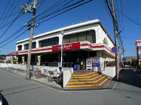 ロワイヤル東加古川 ｜兵庫県加古川市平岡町西谷(賃貸マンション3LDK・2階・71.37㎡)の写真 その15