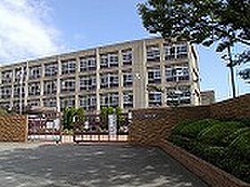 キャロットマンション  ｜ 兵庫県加古川市別府町新野辺2636（賃貸マンション3LDK・3階・59.40㎡） その20