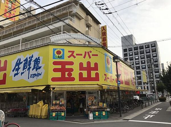 画像10:【スーパー】 スーパー玉出淀川店まで763ｍ