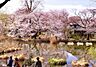 周辺：【公園】東京都立　善福寺公園まで837ｍ