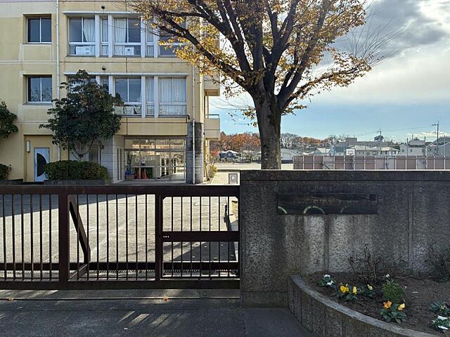 その他 リムズタワーII　504 5階/-