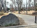 野鳥の森公園 ...