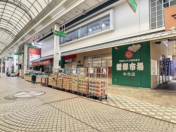 画像15:新鮮市場中市店(1、853m)