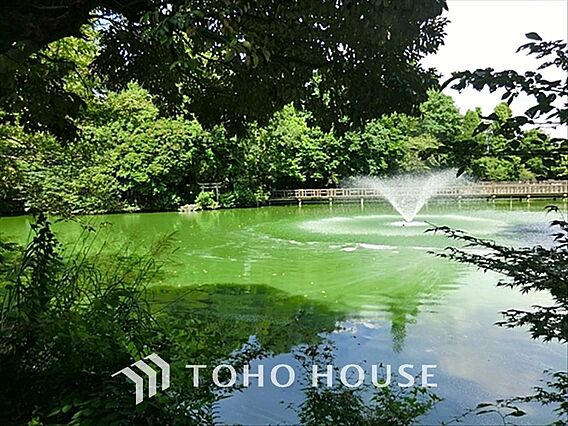 井の頭恩賜公園...