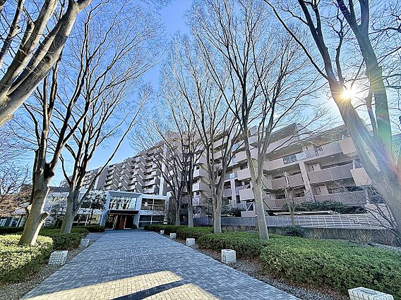外観が語る、品...