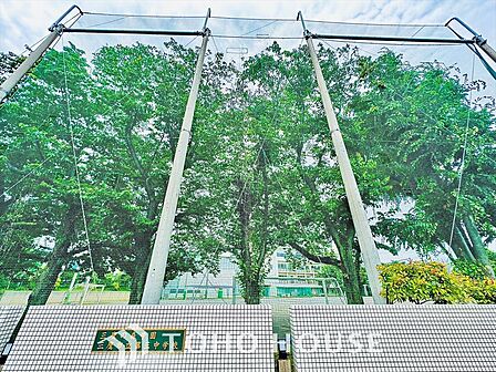 三鷹市立第三中学校 距離約900m