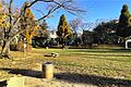 大谷田公園の外...