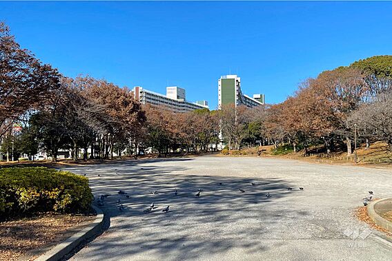 中川公園の外観