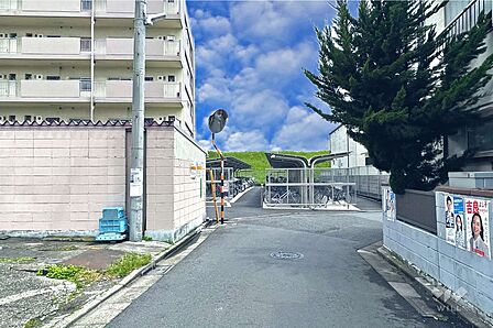 敷地南側の前面道路(西側から)