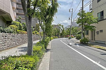 敷地の南側前面道路(西側から)