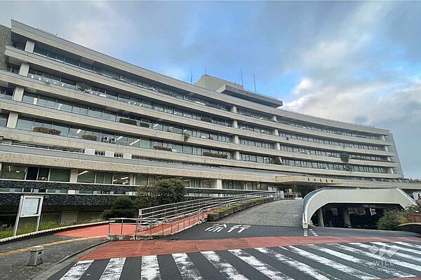 周辺を拡大表示