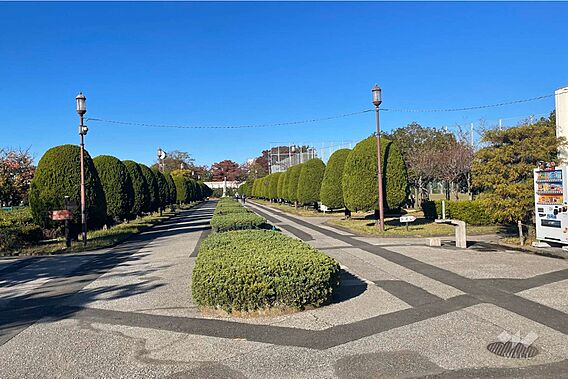 荒川自然公園の...
