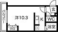 シャイニングドリーム南平岸4階3.9万円