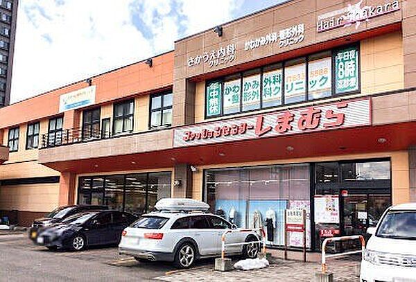 北海道札幌市豊平区平岸二条3丁目(賃貸マンション2LDK・3階・45.24㎡)の写真 その14