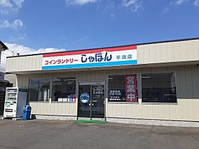 ハイビスカスＢ 101 ｜ 茨城県水戸市小吹町2623-1（賃貸アパート1LDK・1階・50.01㎡） その18