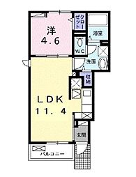 グラシアス 1階1LDKの間取り