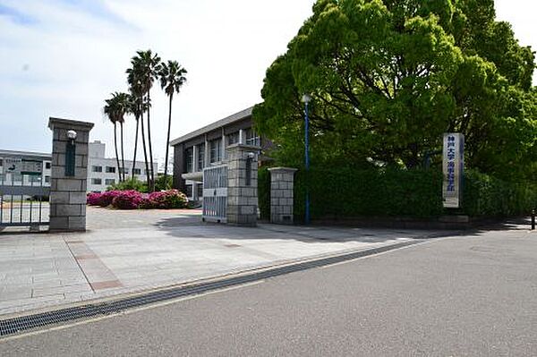 画像12:【大学】神戸大学 深江キャンパスまで1025ｍ