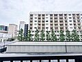 バルコニー前は...