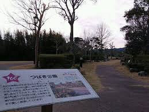 画像26:【公園】つばき公園まで966ｍ