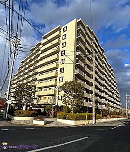外観：外観