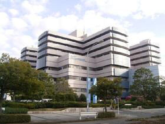 画像21:横浜市立大学医学部（3124m）