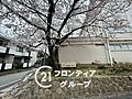 芦屋市立精道中...