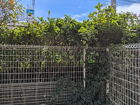 マイホームは一生に一度の大きな買い物だからこそ、納得いくまで情報を集めてほしいと思います。疑問はどんどんスタッフにぶつけてください