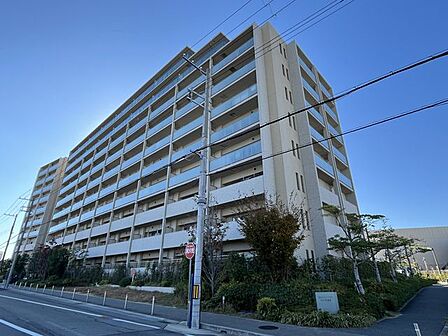 「いつかは」と思っていた住まい探しも、具体的に動き出すと意外とスムーズに進むものです。まずは気軽にご相談いただけます