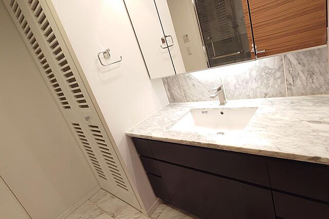 洗面 シティタワー麻布十番 16階/-