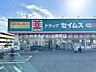 周辺：ドラッグセイムス伊奈内宿店 730m