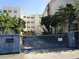 中川区下之一色町第17　売土地　全8区画　7号地