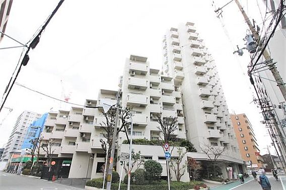 1984年1月...