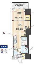 ズーム信濃町 3階1LDKの間取り