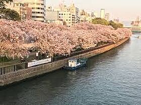 コンフォリア・リヴ南森町II  ｜ 大阪府大阪市北区松ケ枝町（賃貸マンション1K・4階・23.14㎡） その13