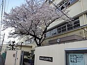 東大阪市立長栄中学校 徒歩6分。 460m