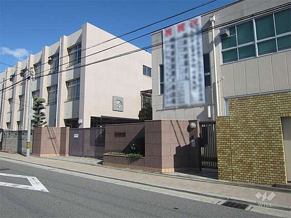 菫中学校[公立...