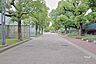 周辺：真田山公園の外観