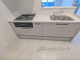 シャーメゾン　ルナピエナ 203 ｜ 大阪府東大阪市稲田上町１丁目（賃貸マンション2LDK・2階・59.77㎡） その10