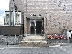 4 / 8