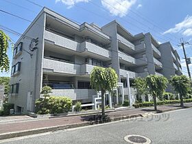 レフィナード帝塚山207  ｜ 奈良県奈良市帝塚山６丁目（賃貸マンション3LDK・2階・120.26㎡） その1