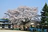 周辺：周辺環境-幼稚園・保育園(900m)野田柳沢幼稚園