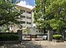 周辺：周辺環境-小学校(459m)松戸市立河原塚小学校