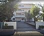 周辺：周辺環境-小学校(950m)三郷市立高州東小学校