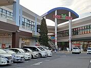 アクロスモール守谷