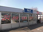 ビッグ・エー北守谷店