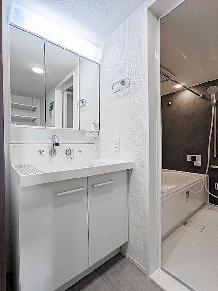 apartment 群馬県伊勢崎市連取町1510-1　T＆M　DE号