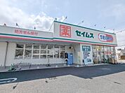 ドラッグセイムス高崎片岡町店 928m