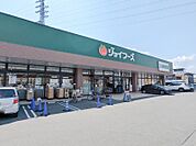 ジョイフーズ高崎上佐野店 516m