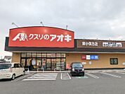 クスリのアオキ東小保方店 845m